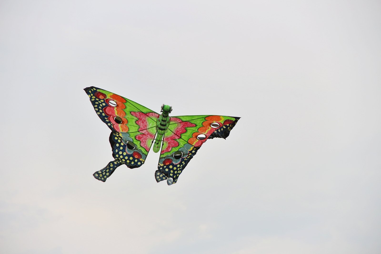 Diều bươm bướm