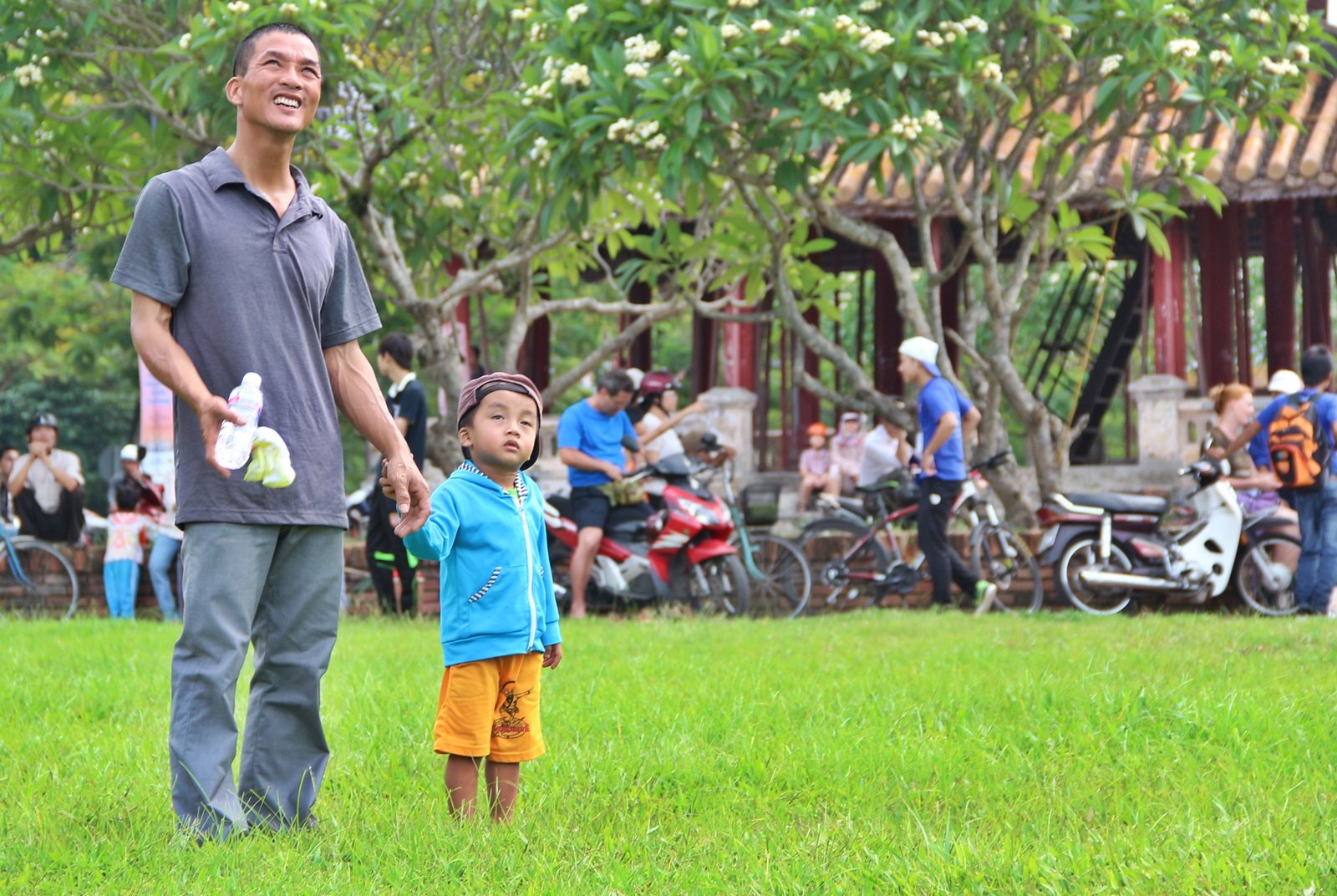 Hai bố con đi xem thả diều