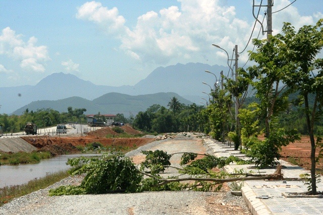 Lốc xoáy kinh hoàng lùa vào nhà đẩy thiếu nữ đi - 13 Các cây xanh bị gió lốc quật ngã nằm la liệt