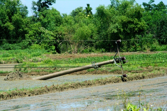 Lốc xoáy kinh hoàng lùa vào nhà đẩy thiếu nữ đi - 7 Cột điện gãy đổ