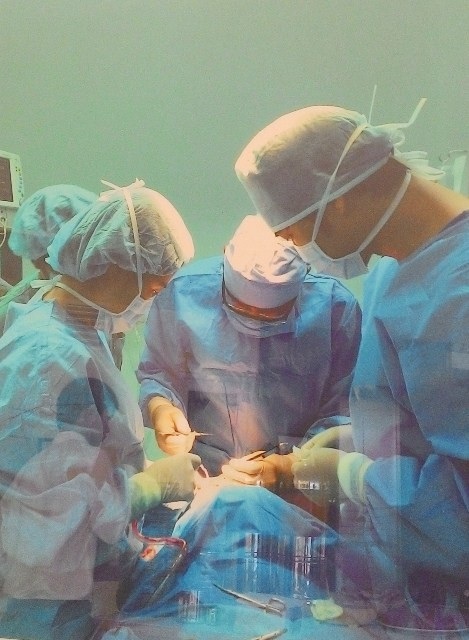 Nhóm của GS.Shin
Hyo Keun điều trị miễn phí các ca bệnh khe hở môi, vòm miệng tại ĐH Y - Dược Huế