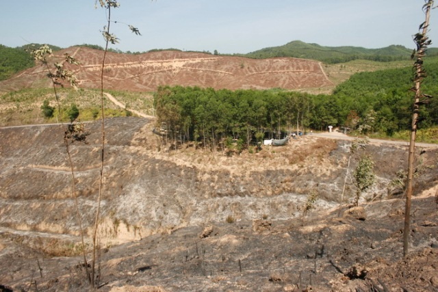 Những khu vực mới bị cháy