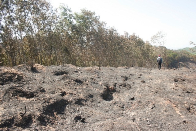 Những khu vực mới bị cháy