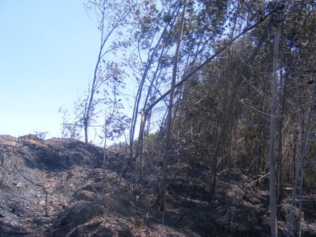 Thiệt hại ước tính gần 4 tỉ đồng