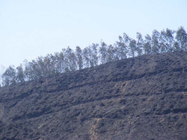 Thiệt hại ước tính gần 4 tỉ đồng