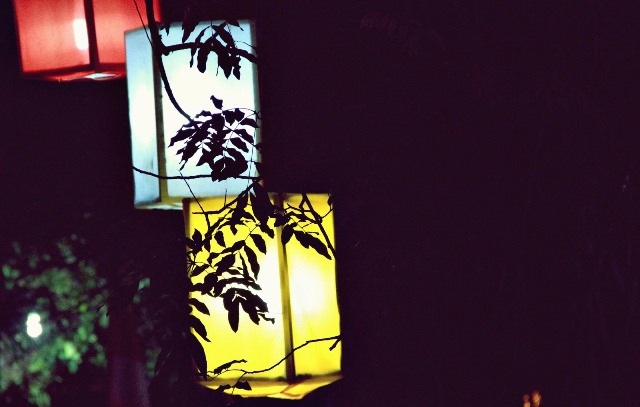 Đèn chen trong lá