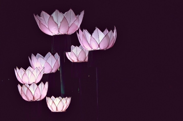 Những cột đèn hoa sen sáng rực hai bên lề đường phố