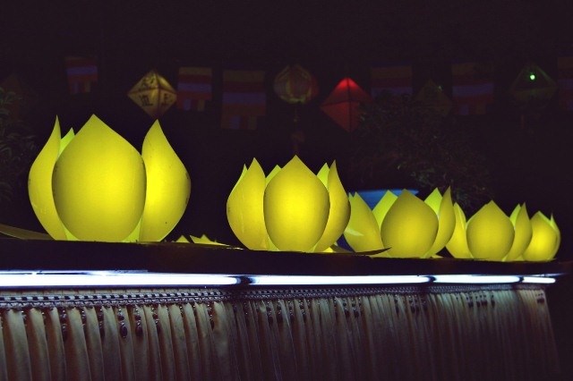 Hoa sen luôn là biểu tượng đặc trưng cho sự thuần khiết trong Phật giáo