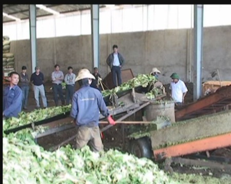 Chiếc máy biến phế phẩm nông nghiệp thành phân bón.