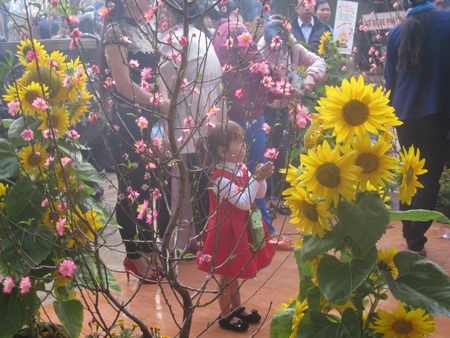 Em bé thành tâm lễ Phật đầu năm