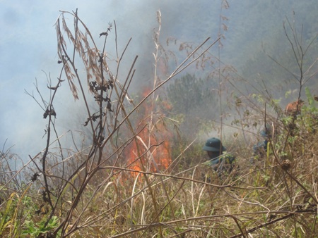 Một đám cháy đã được dập tắt nhưng sau đó lại bùng lên