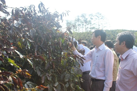 Cơ quan chức năng tiến hành khảo sát tình hình