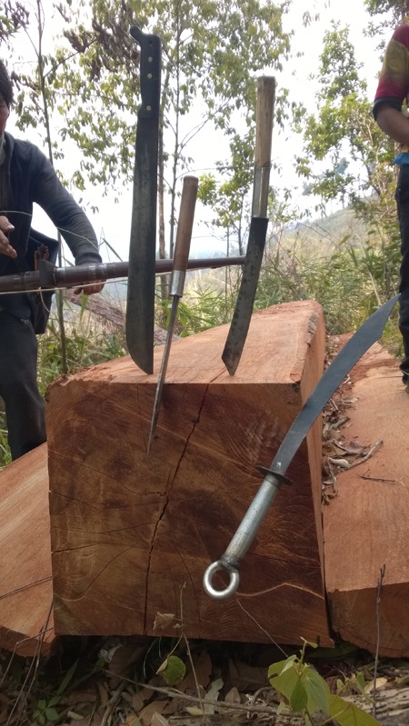 Rừng bị phá liên tục, cả làng bức xúc vây bắt lâm tặc - 2 Gỗ người dân phát hiện được trên lúc đi tuần tra đã được lâm tặc xẻ vuông vức