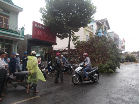 Cây lớn bất ngờ đổ đè bẹp ô tô