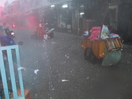 Cơn mưa cứu tinh cho nhiều cây trồng