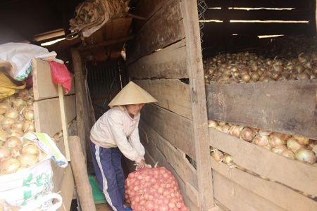 Chỉ cách đây ít tuần, người dân phải mang hành tây đi đổ