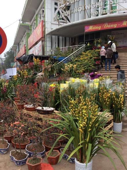 Chợ hoa xưa và nay của người Kẻ Bưởi - 2 Ngày xửa ngày xưa, chợ
Bưởi…
