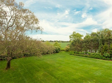 Khu vườn xanh mướt của biệt thự luôn được cắt tỉa đẹp đẽ.