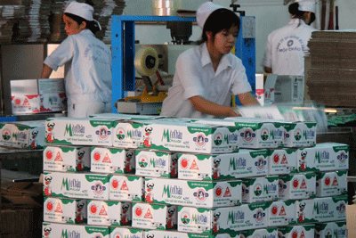 Mộc Châu củng cố thương hiệu sữa hàng đầu tại miền Bắc