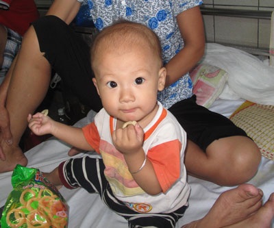 Bé trai 10 tháng tuổi bị rắn lục cắn - 1 Bé Sang bị rối loạn đông máu, thiếu máu trầm trọng vì rắn lục cắn. Ảnh: H.Hải