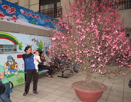 Các bệnh viện đều cố gắng chăm lo cho bệnh nhân chu đáo nhất trong dịp Tết.