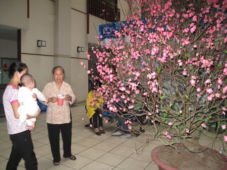 Các bệnh viện đều cố gắng chăm lo cho bệnh nhân chu đáo nhất trong dịp Tết.