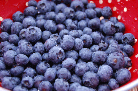 “Tắc nghẽn giao thông” trong mạch máu não - 2 Blueberry (có trong