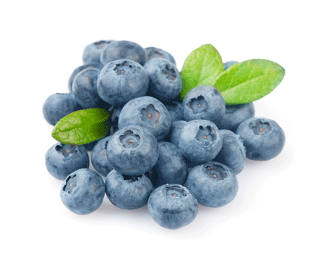 Blueberry (có trong OTIV) - tặng phẩm từ thiên nhiên giúp chống gốc tự do.