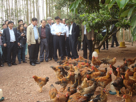 Thứ trưởng Bộ Y tế Nguyễn Thanh Long kiểm tra công tác phòng dịch cúm A/H7N9 tại Bắc Giang.