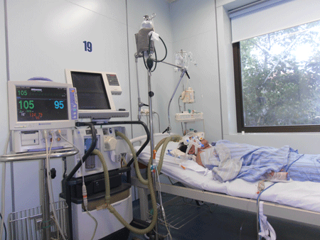 Gần 50% bệnh nhân cúm là do vi rút H1N1 - 1 Cúm A/H1N1 đang quay trở lại, lây lan rộng, chiếm 48% trong các chủng cúm. Ảnh minh họa: T.C