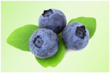 Tinh chất Blueberry có trong