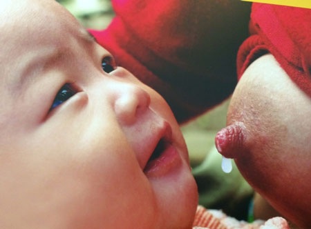 Sữa mẹ cứu sống 1,3 triệu trẻ mỗi năm - 5 Hồng Hải