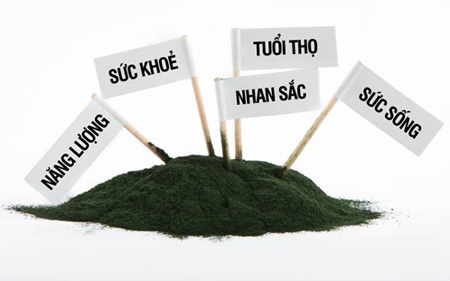 Những vùng đất "vàng" cho sức khỏe Việt Nam - 3 Bột tảo khoáng Spirulina được tổ chức Y tế thế giới công nhận là “siêu thực phẩm”