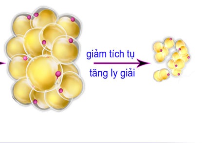 "Vỡ mộng" giảm cân... siêu tốc - 2 Các hoạt chất sinh học quý từ