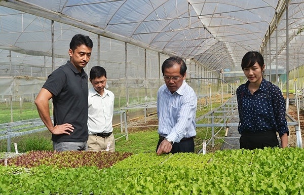 Người Nhật đang “bẻ lái” đầu tư - 1 V