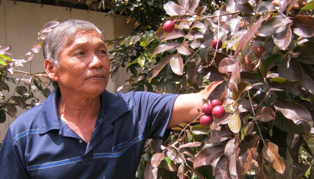 Những cây độc, quả lạ khiến người dùng Việt “phát sốt” - 1 Những cây độc, quả lạ khiến người dùng Việt “phát sốt”