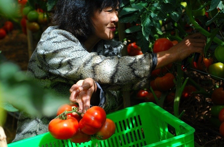 Đọc những thông tin kinh tế - tài chính mới nhất trên