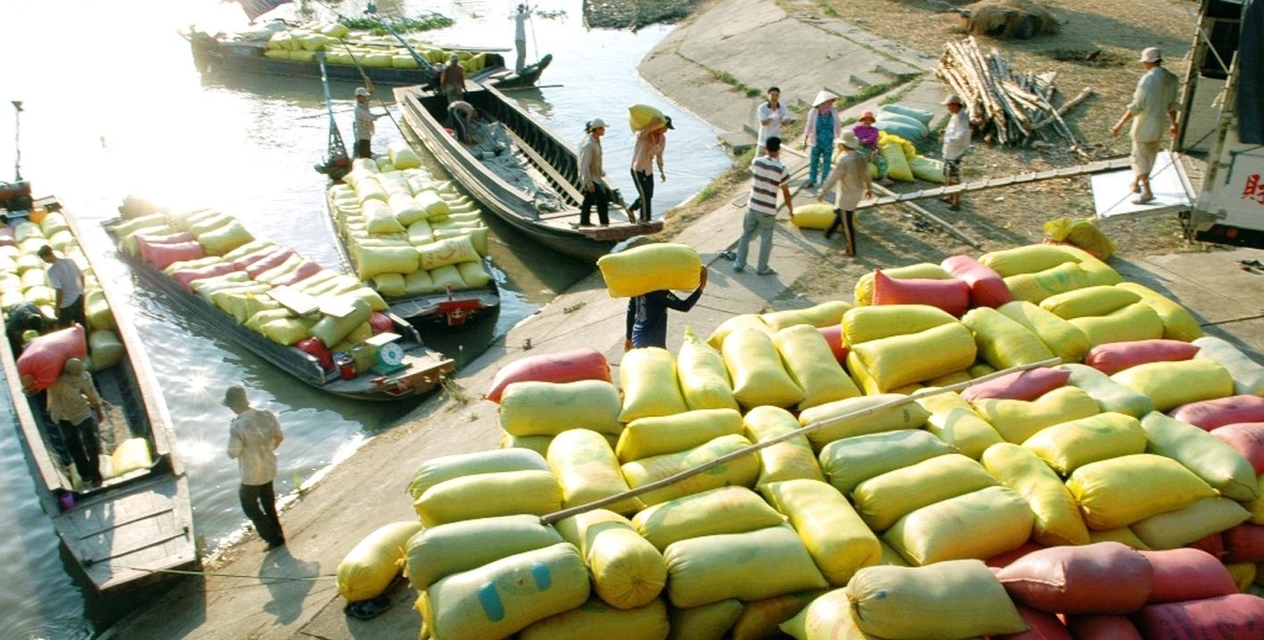 Gạo Việt đang bị cạnh tranh toàn diện - 1 G