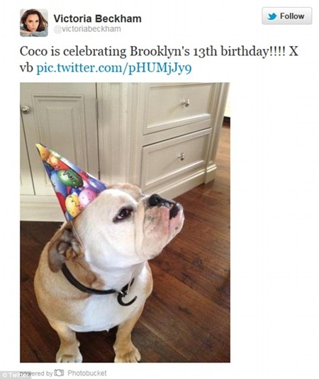 Vợ chồng Beckham tặng quà bất ngờ mừng sinh nhật con trai 13 tuổi