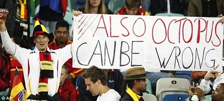 Chồn “tiên tri” dự đoán kết quả Euro 2012 - 5 Chồn “tiên tri” dự đoán kết quả Euro 2012 - 5