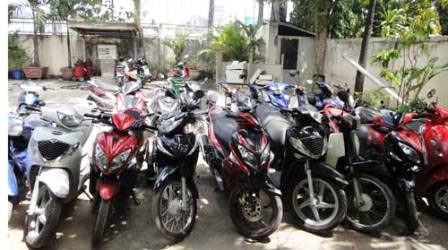 Gần 50 xe máy thu hồi lại từ băng trộm khét tiếng TPHCM. Ảnh: TNO