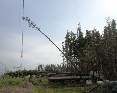 Vụ mất điện toàn miền Nam: Công an vào cuộc - 1 Hiện trường ban đầu