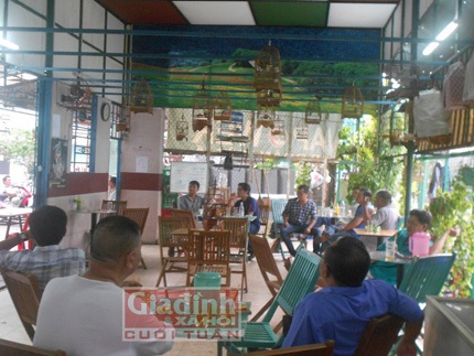 Thủ đoạn biến chim hót thành "chiến binh" có giá trăm triệu - 2 Một cuộc thi chim vành khuyên hót tại quận 5, TP.HCM.