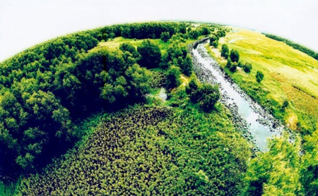 Đồng Tháp đăng cai giải vô địch đá cầu thế giới lần thứ VII - 4 Vườn quốc gia Tràm Chim được ví như “một Đồng Tháp Mười thu nhỏ” - ảnh: Website tramchim.com.vn