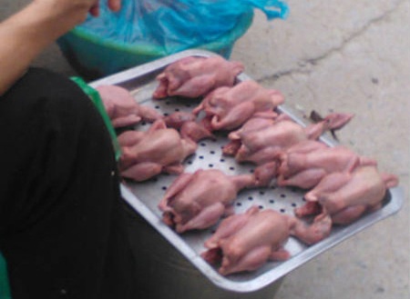 Biến vịt thải thành chim sẻ, cút thối thành bồ câu - 3 Chim cút thải loại đội lốt bồ câu siêu rẻ