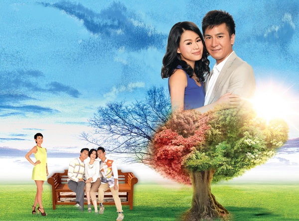 “Cây tình yêu” và bốn mùa thay sắc