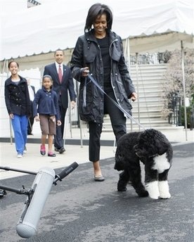 Chó cưng nhà Obama thích gặm chân mọi người - 1 Chó cưng nhà Obama thích gặm chân mọi người - 1