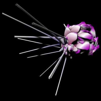 Nghệ thuật lung linh cùng virus - 2