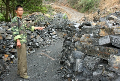 “Than tặc” đã xâm hại rừng đặc dụng Yên Tử - 2 “Than tặc” đã xâm hại rừng đặc dụng Yên Tử - 2