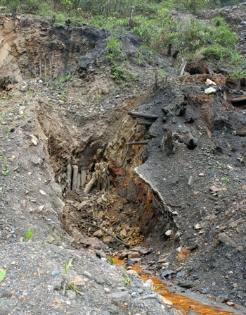 “Than tặc” đã xâm hại rừng đặc dụng Yên Tử - 3 “Than tặc” đã xâm hại rừng đặc dụng Yên Tử - 3